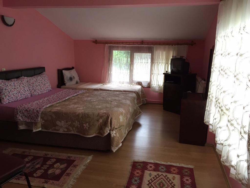 Asina Motel Сапанджа Екстериор снимка